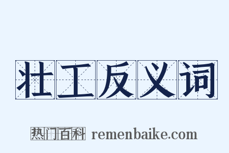 壮工反义词是什么意思的图片